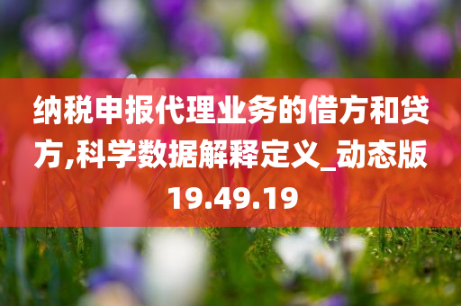 纳税申报代理业务的借方和贷方,科学数据解释定义_动态版19.49.19