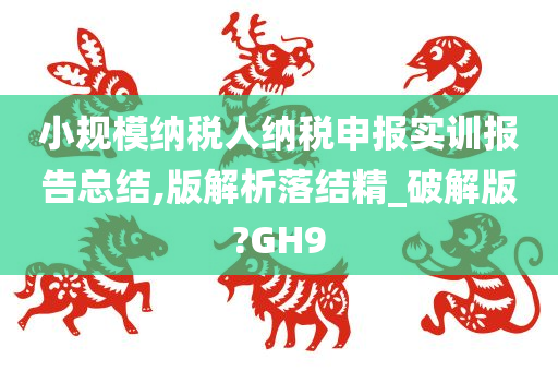 小规模纳税人纳税申报实训报告总结,版解析落结精_破解版?GH9