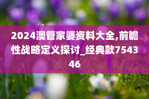 2024澳管家婆资料大全,前瞻性战略定义探讨_经典款754346