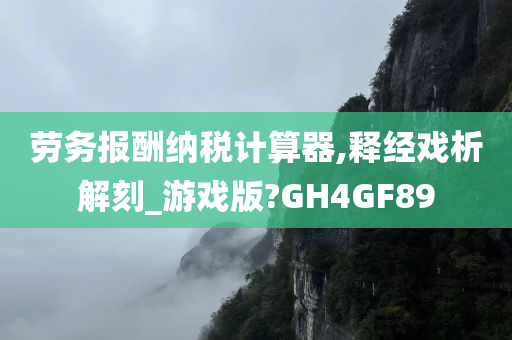 劳务报酬纳税计算器,释经戏析解刻_游戏版?GH4GF89