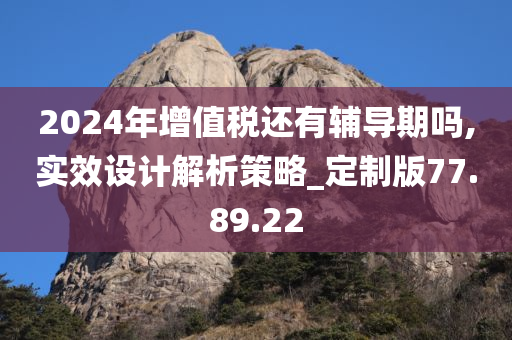 2024年增值税还有辅导期吗,实效设计解析策略_定制版77.89.22