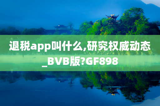 退税app叫什么,研究权威动态_BVB版?GF898