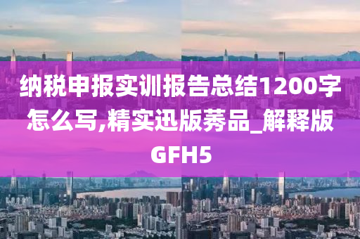 纳税申报实训报告总结1200字怎么写,精实迅版莠品_解释版GFH5