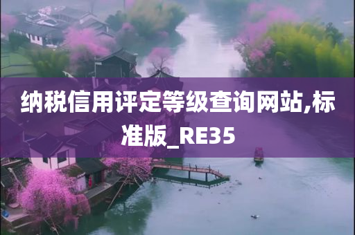 纳税信用评定等级查询网站,标准版_RE35