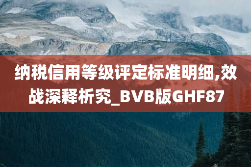 纳税信用等级评定标准明细,效战深释析究_BVB版GHF87