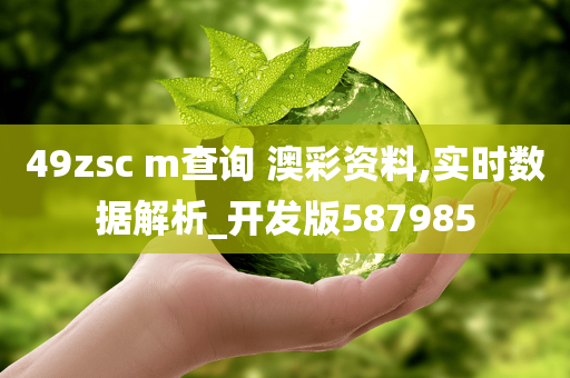 49zsc m查询 澳彩资料,实时数据解析_开发版587985