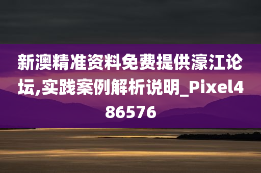 新澳精准资料免费提供濠江论坛,实践案例解析说明_Pixel486576