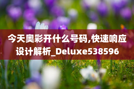 今天奥彩开什么号码,快速响应设计解析_Deluxe538596