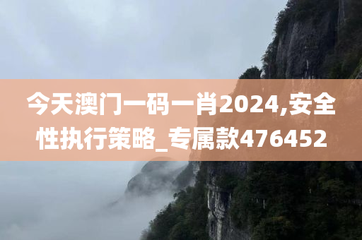 今天澳门一码一肖2024,安全性执行策略_专属款476452