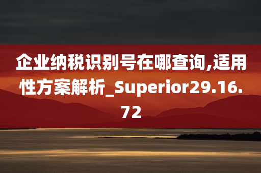 企业纳税识别号在哪查询,适用性方案解析_Superior29.16.72