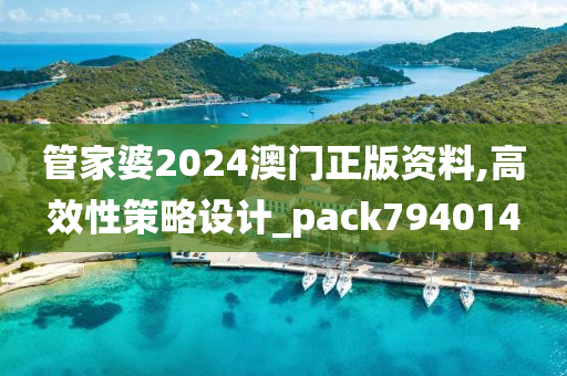 管家婆2024澳门正版资料,高效性策略设计_pack794014