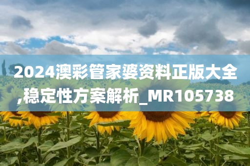 2024澳彩管家婆资料正版大全,稳定性方案解析_MR105738