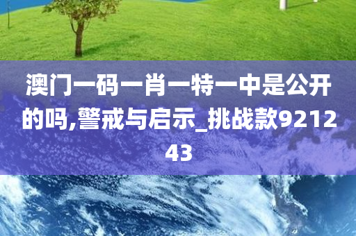 澳门一码一肖一特一中是公开的吗,警戒与启示_挑战款921243