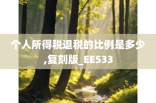 个人所得税退税的比例是多少,复刻版_EE533