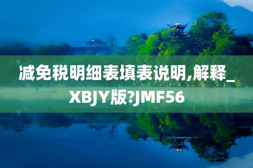 减免税明细表填表说明,解释_XBJY版?JMF56