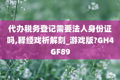 代办税务登记需要法人身份证吗,释经戏析解刻_游戏版?GH4GF89