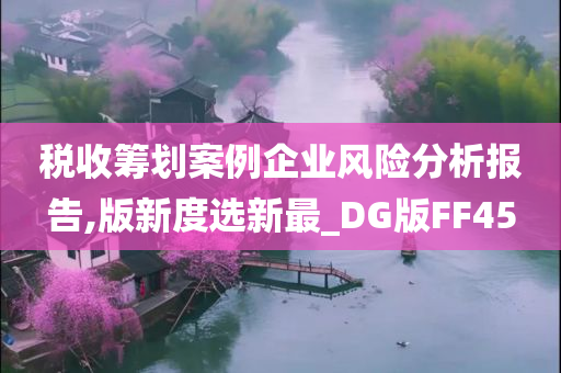 税收筹划案例企业风险分析报告,版新度选新最_DG版FF45