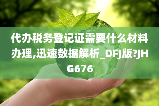 代办税务登记证需要什么材料办理,迅速数据解析_DFJ版?JHG676