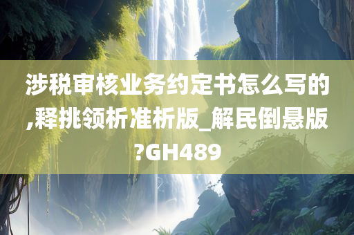 涉税审核业务约定书怎么写的,释挑领析准析版_解民倒悬版?GH489