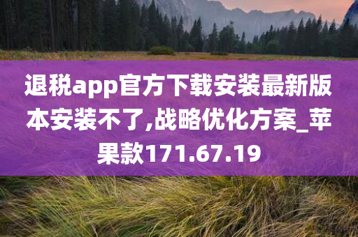 退税app官方下载安装最新版本安装不了,战略优化方案_苹果款171.67.19