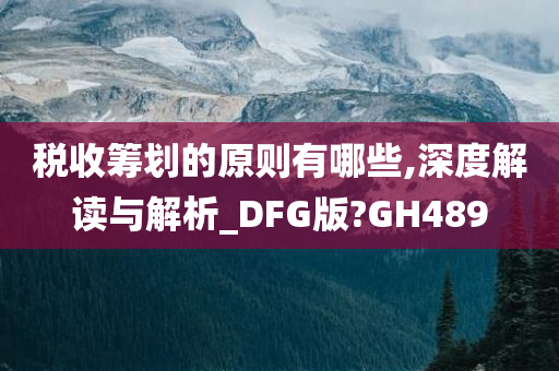 税收筹划的原则有哪些,深度解读与解析_DFG版?GH489