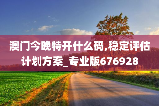 澳门今晚特开什么码,稳定评估计划方案_专业版676928