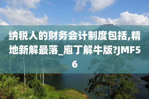 纳税人的财务会计制度包括,精地新解最落_庖丁解牛版?JMF56