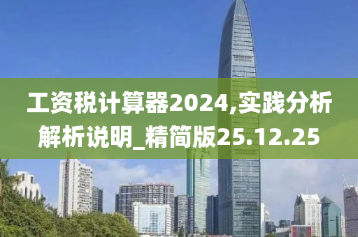 工资税计算器2024,实践分析解析说明_精简版25.12.25