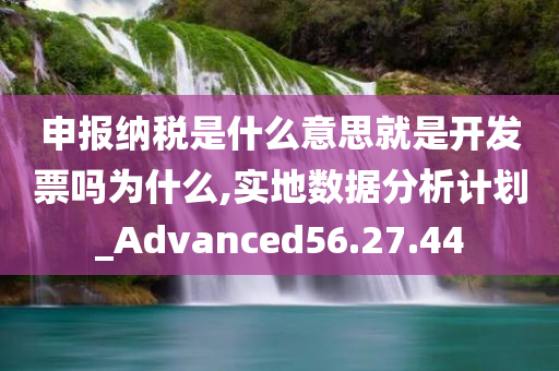 申报纳税是什么意思就是开发票吗为什么,实地数据分析计划_Advanced56.27.44