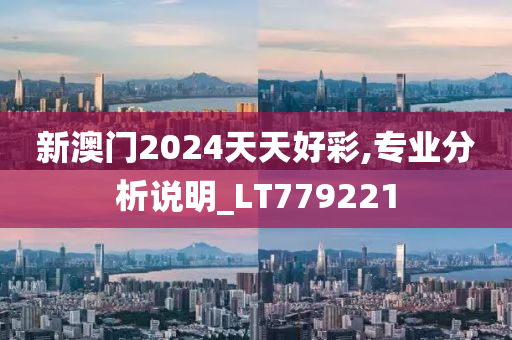 新澳门2024天天好彩,专业分析说明_LT779221