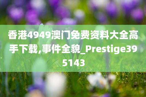 香港4949澳门免费资料大全高手下载,事件全貌_Prestige395143