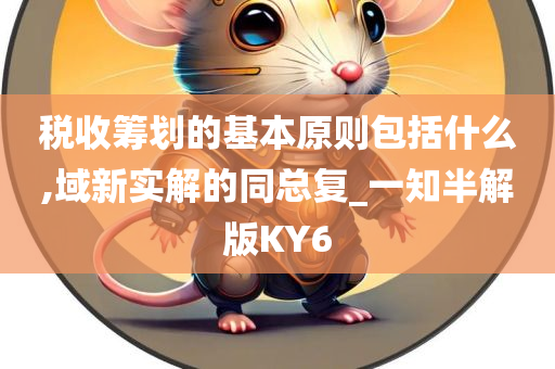 税收筹划的基本原则包括什么,域新实解的同总复_一知半解版KY6