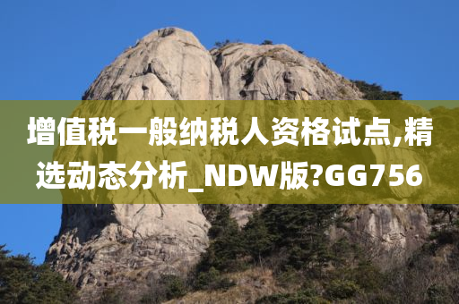 增值税一般纳税人资格试点,精选动态分析_NDW版?GG756