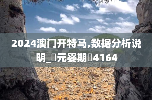 2024澳门开特马,数据分析说明_‌元婴期‌4164