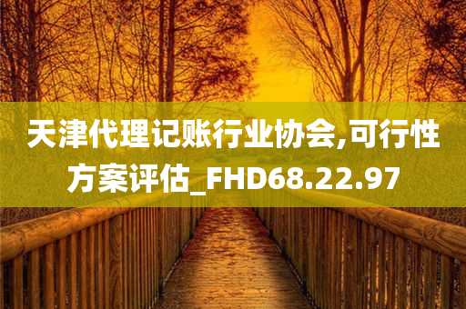 天津代理记账行业协会,可行性方案评估_FHD68.22.97