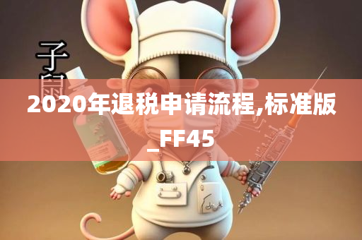 2020年退税申请流程,标准版_FF45