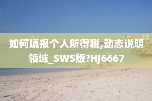 如何填报个人所得税,动态说明领域_SWS版?HJ6667