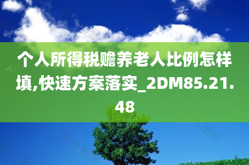 个人所得税赡养老人比例怎样填,快速方案落实_2DM85.21.48