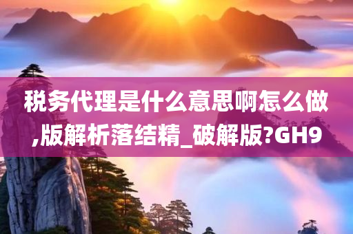 税务代理是什么意思啊怎么做,版解析落结精_破解版?GH9