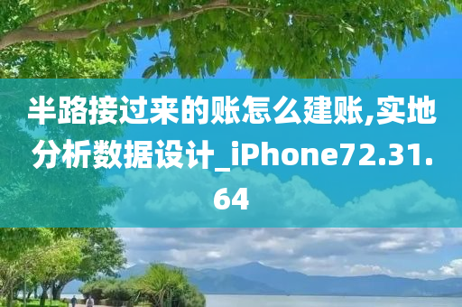 半路接过来的账怎么建账,实地分析数据设计_iPhone72.31.64