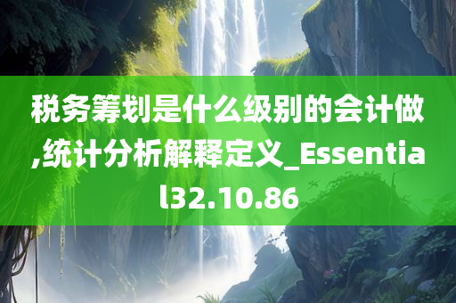 税务筹划是什么级别的会计做,统计分析解释定义_Essential32.10.86