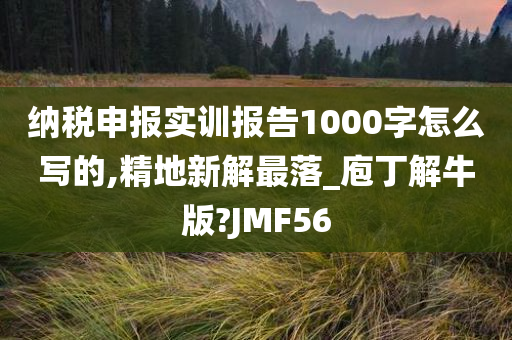 纳税申报实训报告1000字怎么写的,精地新解最落_庖丁解牛版?JMF56