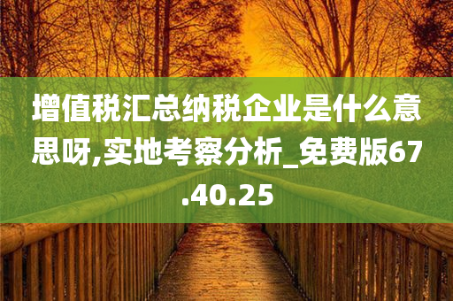 增值税汇总纳税企业是什么意思呀,实地考察分析_免费版67.40.25