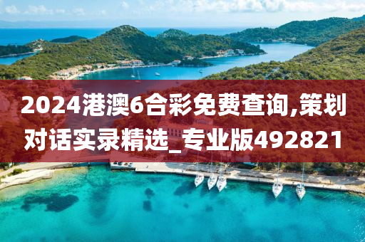 2024港澳6合彩免费查询,策划对话实录精选_专业版492821