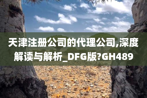 天津注册公司的代理公司,深度解读与解析_DFG版?GH489