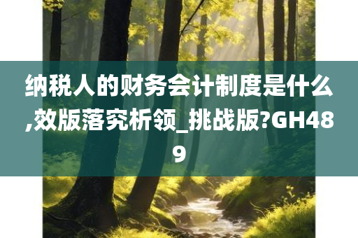 纳税人的财务会计制度是什么,效版落究析领_挑战版?GH489