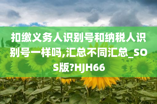 扣缴义务人识别号和纳税人识别号一样吗,汇总不同汇总_SOS版?HJH66