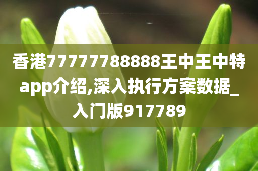 香港77777788888王中王中特app介绍,深入执行方案数据_入门版917789