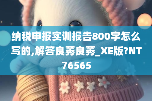 纳税申报实训报告800字怎么写的,解答良莠良莠_XE版?NT76565