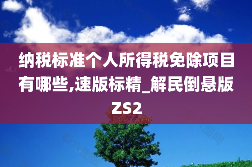 纳税标准个人所得税免除项目有哪些,速版标精_解民倒悬版ZS2